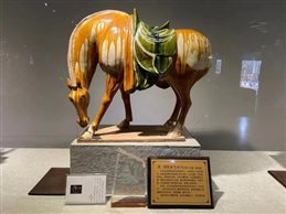 微信图片_20210309105501.jpg 微信图片_20210309105501.jpg