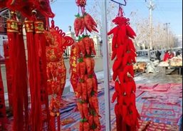 微信图片_20210309104943.jpg 微信图片_20210309104943.jpg