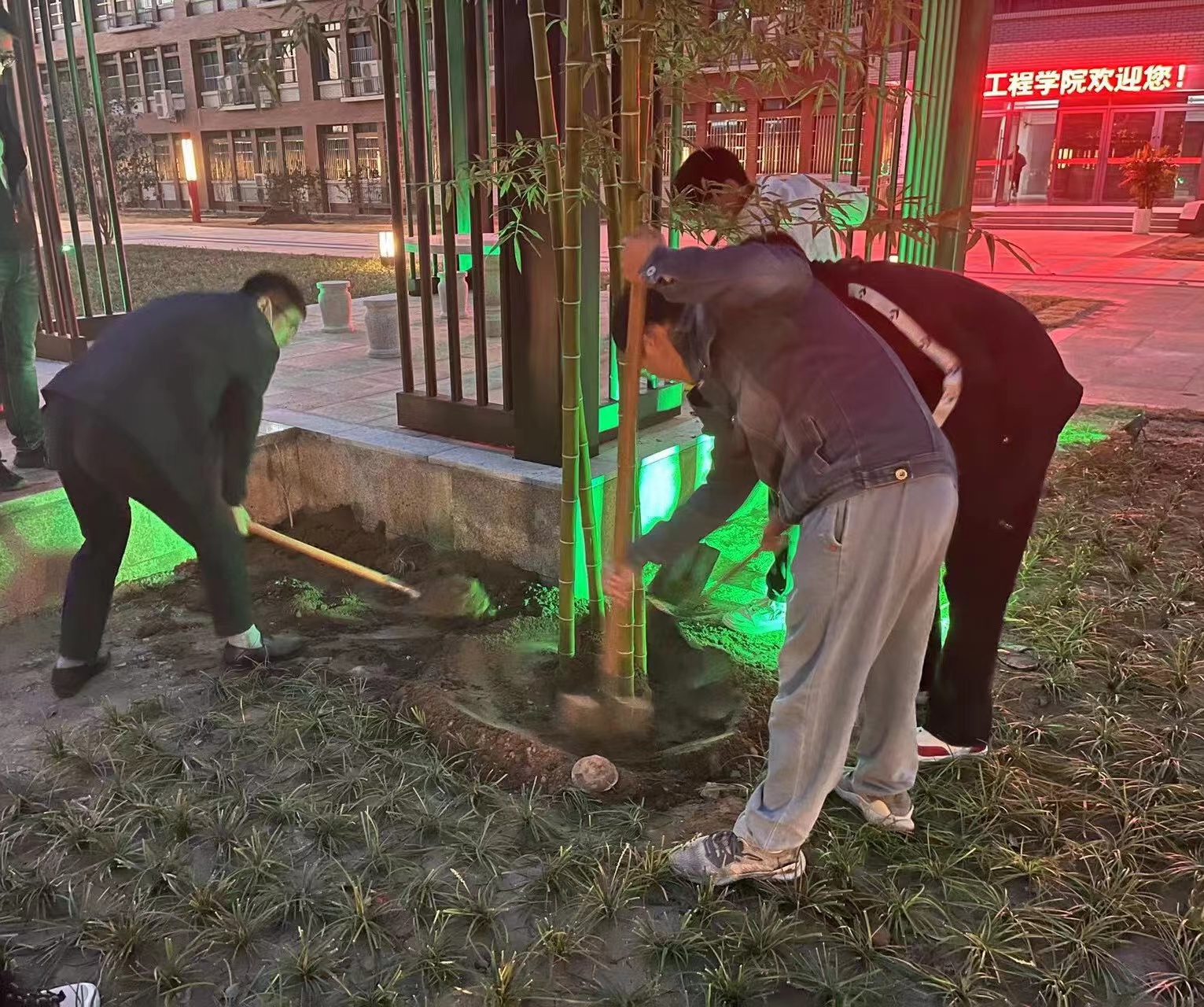 9d42aacdcaa3422a62fa99faaae4c06