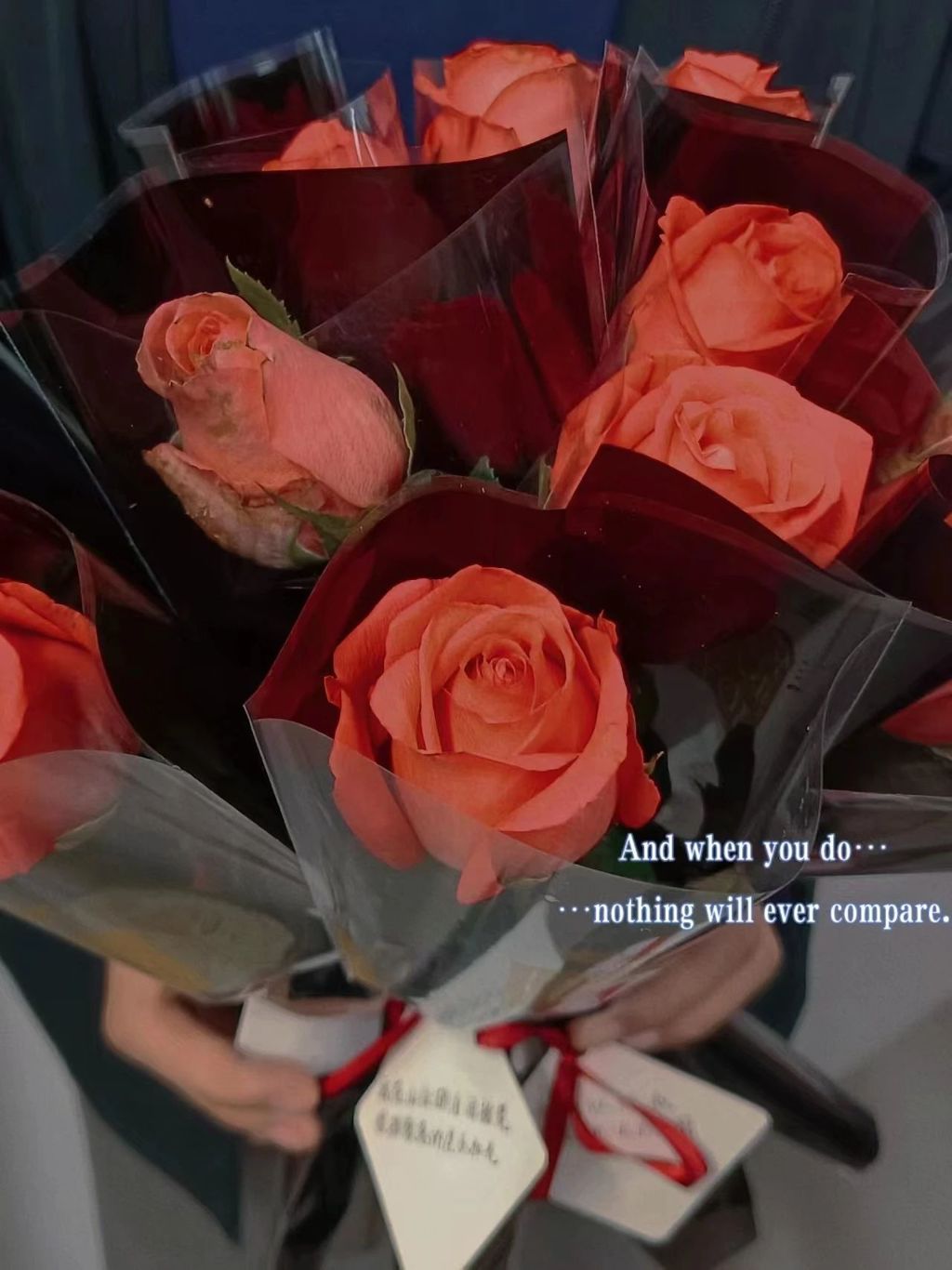 10.283.jpg 10.283.jpg