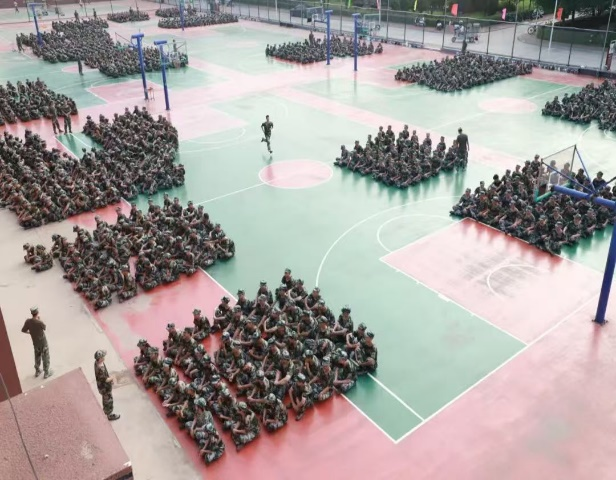 图片5.png 图片5.png