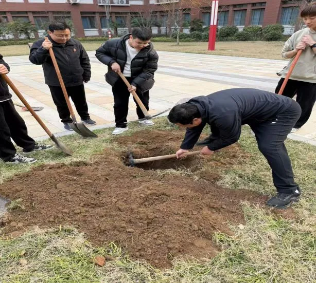 图片2.png 图片2.png